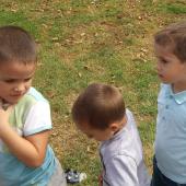 Kattintson a képre az új ablakban megnyíló eredeti felbontású fotóért.