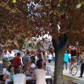 Kattintson a képre az új ablakban megnyíló eredeti felbontású fotóért.