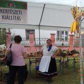 Kattintson a képre az új ablakban megnyíló eredeti felbontású fotóért.