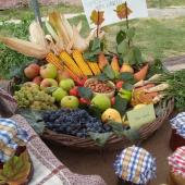 Kattintson a képre az új ablakban megnyíló eredeti felbontású fotóért.