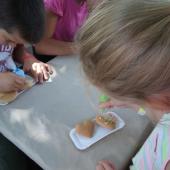 Kattintson a képre az új ablakban megnyíló eredeti felbontású fotóért.