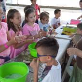 Kattintson a képre az új ablakban megnyíló eredeti felbontású fotóért.