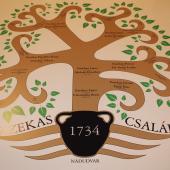 Kattintson a képre az új ablakban megnyíló eredeti felbontású fotóért.