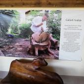 Kattintson a képre az új ablakban megnyíló eredeti felbontású fotóért.