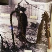 Kattintson a képre az új ablakban megnyíló eredeti felbontású fotóért.