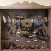 Kattintson a képre az új ablakban megnyíló eredeti felbontású fotóért.