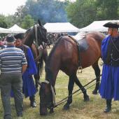 Kattintson a képre az új ablakban megnyíló eredeti felbontású fotóért.