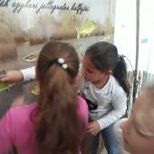 Kattintson a képre az új ablakban megnyíló eredeti felbontású fotóért.