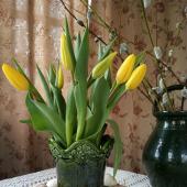 Kattintson a képre az új ablakban megnyíló eredeti felbontású fotóért.