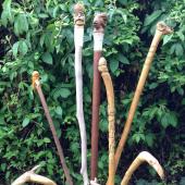 Kattintson a képre az új ablakban megnyíló eredeti felbontású fotóért.