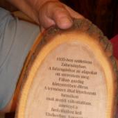 Kattintson a képre az új ablakban megnyíló eredeti felbontású fotóért.