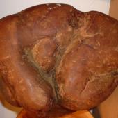 Kattintson a képre az új ablakban megnyíló eredeti felbontású fotóért.