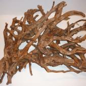 Kattintson a képre az új ablakban megnyíló eredeti felbontású fotóért.