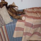 Kattintson a képre az új ablakban megnyíló eredeti felbontású fotóért.