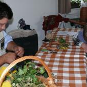 Kattintson a képre az új ablakban megnyíló eredeti felbontású fotóért.