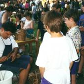 Kattintson a képre az új ablakban megnyíló eredeti felbontású fotóért.