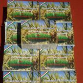 Kattintson a képre az új ablakban megnyíló eredeti felbontású fotóért.